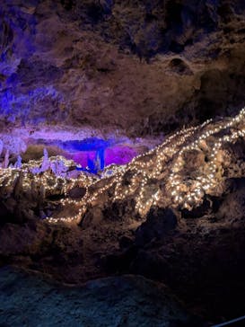 石垣島鍾乳洞に投稿された画像（2025/3/31）