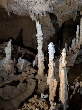 石垣島鍾乳洞に投稿された画像（2025/3/31）