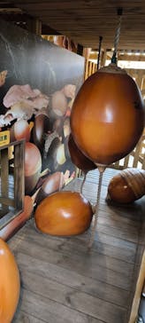 モビリティリゾートもてぎに投稿された画像（2025/3/31）