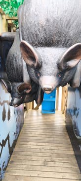 モビリティリゾートもてぎに投稿された画像（2025/3/31）