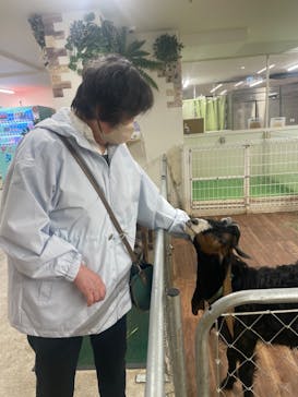 アニタッチ 東京ドームシティに投稿された画像（2025/3/31）