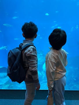 アクアワールド茨城県大洗水族館に投稿された画像（2025/3/31）