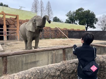 東武動物公園に投稿された画像（2025/3/31）