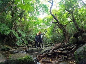 石垣島ドリーム観光に投稿された画像（2025/3/31）