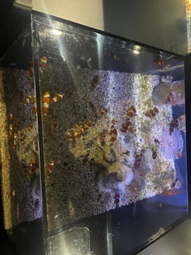 マクセル アクアパーク品川に投稿された画像（2025/3/31）