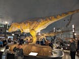 福井県立恐竜博物館に投稿された画像（2025/3/31）