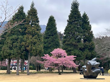 彫刻の森美術館に投稿された画像（2025/3/31）