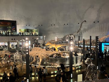 福井県立恐竜博物館に投稿された画像（2025/3/31）