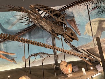 福井県立恐竜博物館に投稿された画像（2025/3/31）