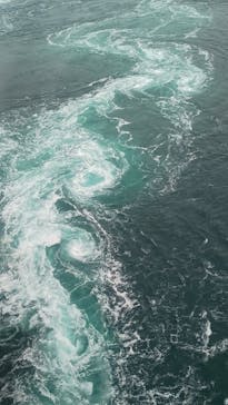 徳島県立 渦の道に投稿された画像（2025/3/31）