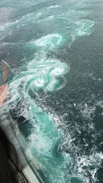 徳島県立 渦の道に投稿された画像（2025/3/31）