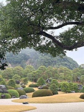 足立美術館に投稿された画像（2025/3/31）