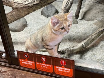 那須どうぶつ王国に投稿された画像（2025/3/31）