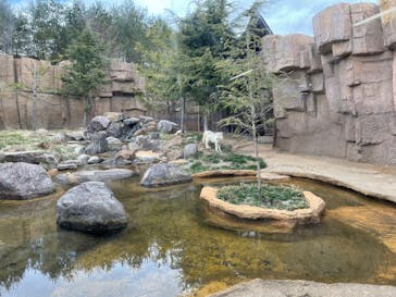 那須どうぶつ王国に投稿された画像（2025/3/31）