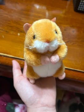 恩賜上野動物園に投稿された画像（2025/3/31）