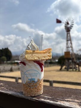 まかいの牧場に投稿された画像（2025/3/31）