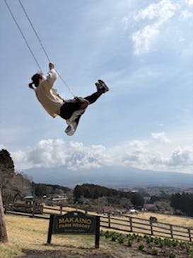 まかいの牧場に投稿された画像（2025/3/31）