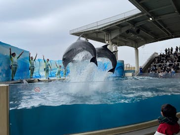 新江ノ島水族館に投稿された画像（2025/3/31）