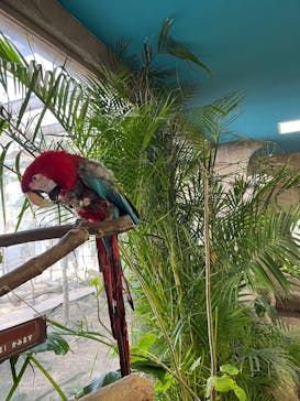 那須どうぶつ王国に投稿された画像（2025/3/31）