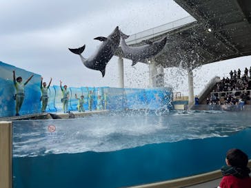 新江ノ島水族館に投稿された画像（2025/3/31）
