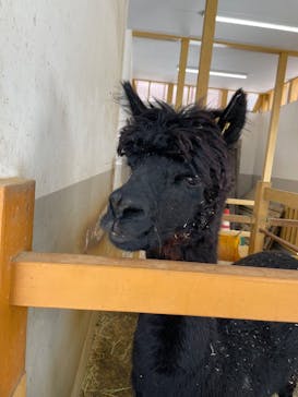 牧歌の里に投稿された画像（2025/3/31）