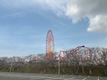 グリーンランドに投稿された画像（2025/3/31）