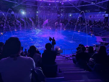 マクセル アクアパーク品川に投稿された画像（2025/3/31）