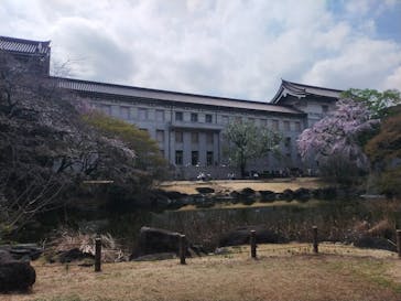 東京国立博物館に投稿された画像（2025/3/31）