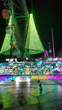 さがみ湖MORI MORIに投稿された画像（2025/3/31）