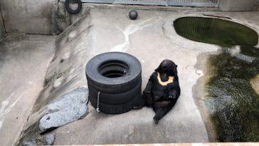 阿蘇カドリー・ドミニオンに投稿された画像（2025/3/31）