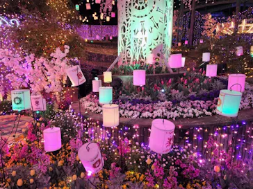 ひらかたパークに投稿された画像（2025/3/31）