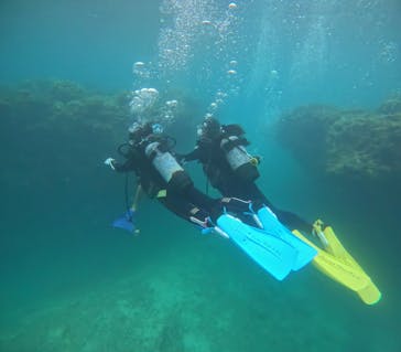 ダイビングショップ　レイに投稿された画像（2025/3/31）