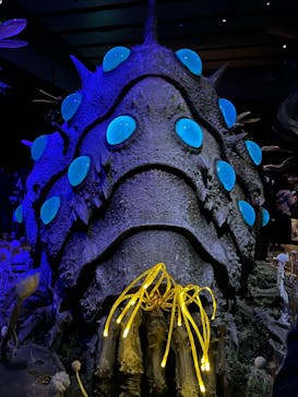 金曜ロードショーとジブリ展　三重展に投稿された画像（2025/3/31）