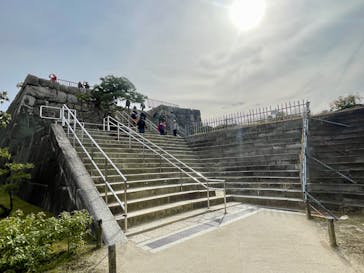 元離宮二条城に投稿された画像（2025/3/31）