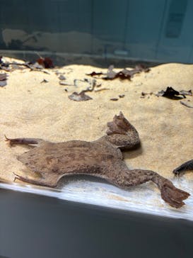 AOAO SAPPOROに投稿された画像（2025/3/31）