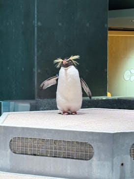 AOAO SAPPOROに投稿された画像（2025/3/31）