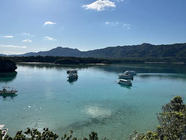 All Blue（オールブルー）に投稿された画像（2025/3/31）