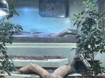 名古屋市東山動植物園に投稿された画像（2025/4/1）