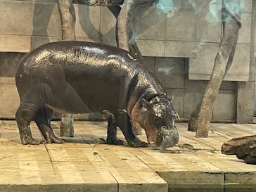 NIFREL（ニフレル）に投稿された画像（2025/4/1）