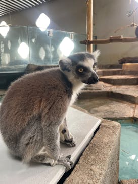 NIFREL（ニフレル）に投稿された画像（2025/4/1）