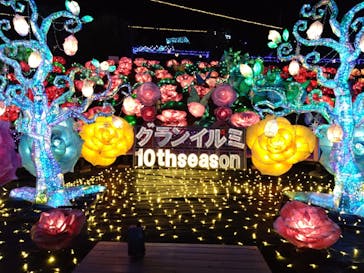 伊豆高原グランイルミに投稿された画像（2025/4/1）