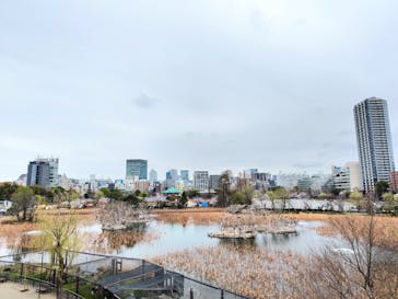 恩賜上野動物園に投稿された画像（2025/4/1）