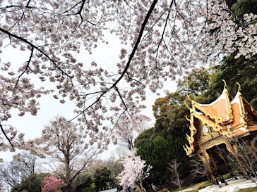 恩賜上野動物園に投稿された画像（2025/4/1）