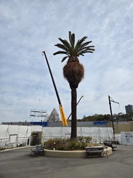 天王寺動物園に投稿された画像（2025/4/1）