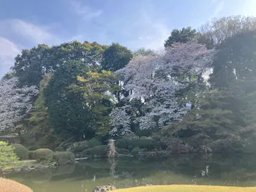 新宿御苑に投稿された画像（2025/4/1）