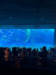 沖縄美ら海水族館に投稿された画像（2025/4/1）