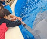 南知多ビーチランド＆南知多おもちゃ王国に投稿された画像（2025/3/31）