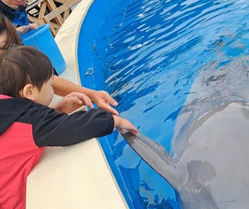 南知多ビーチランド＆南知多おもちゃ王国に投稿された画像（2025/3/31）