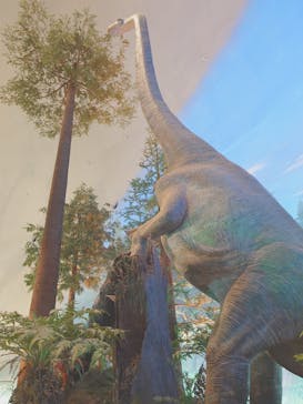 福井県立恐竜博物館に投稿された画像（2025/4/1）