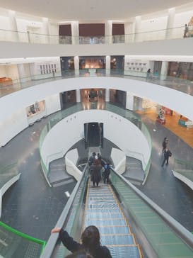 福井県立恐竜博物館に投稿された画像（2025/4/1）